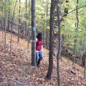 Go get "lost" in the woods...