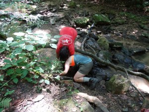 Dunking Kathy! Lol... Photo: Linda